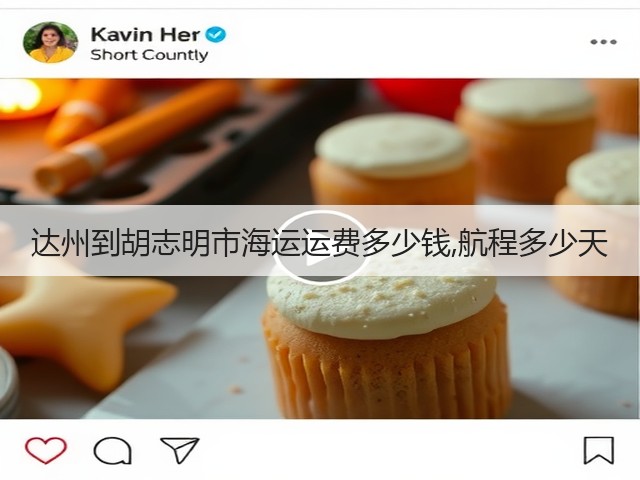 达州到胡志明市海运运费多少钱,航程多少天(图3) 达州到胡志明市海运运费多少钱,航程多少天(图3)