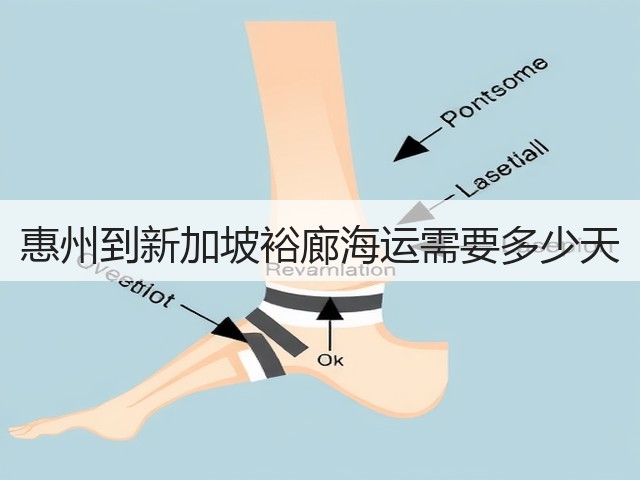 惠州到新加坡裕廊海运需要多少天(图2) 惠州到新加坡裕廊海运需要多少天(图2)