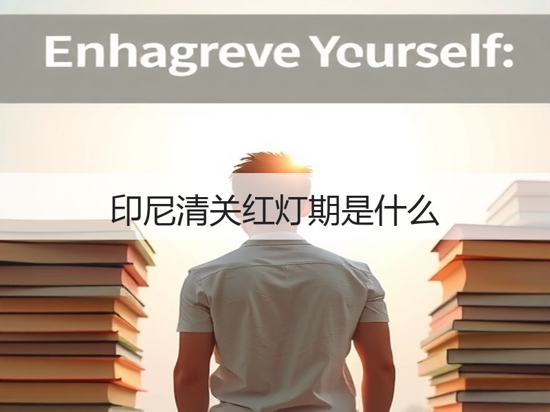印尼清关红灯期是什么
