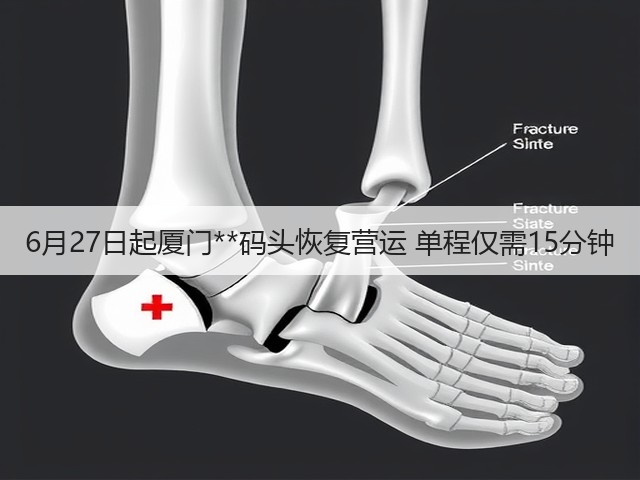 6月27日起厦门**码头恢复营运 单程仅需15分钟(图2)
