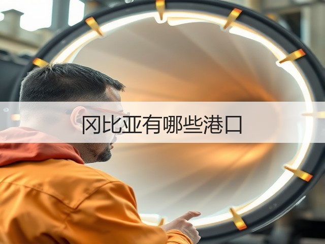 冈比亚有哪些港口(图1)