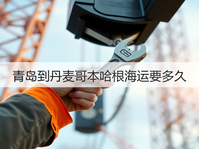 青岛到丹麦哥本哈根海运要多久(图3) 青岛到丹麦哥本哈根海运要多久(图3)