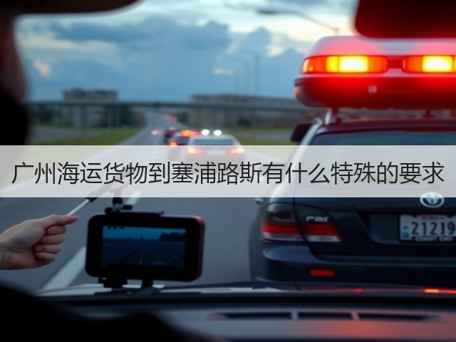 广州海运货物到塞浦路斯有什么特殊的要求(图1)