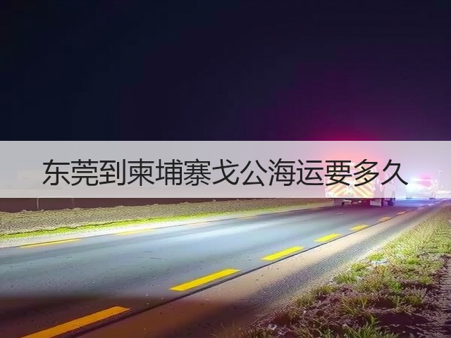 东莞到柬埔寨戈公海运要多久(图3)