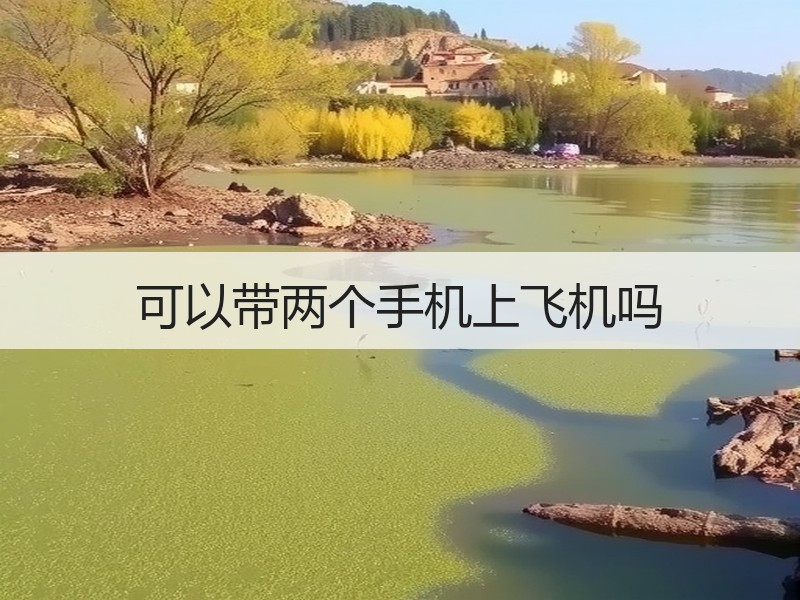 可以带两个手机上飞机吗