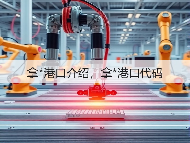 拿*港口介绍，拿*港口代码