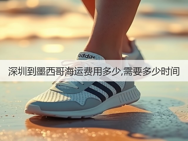 深圳到墨西哥海运费用多少,需要多少时间(图3) 深圳到墨西哥海运费用多少,需要多少时间(图3)