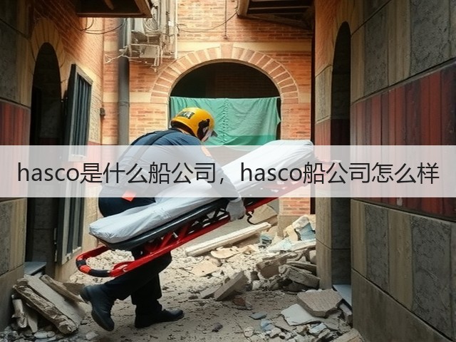hasco是什么船公司,hasco船公司怎么样(图2) hasco是什么船公司,hasco船公司怎么样(图2)