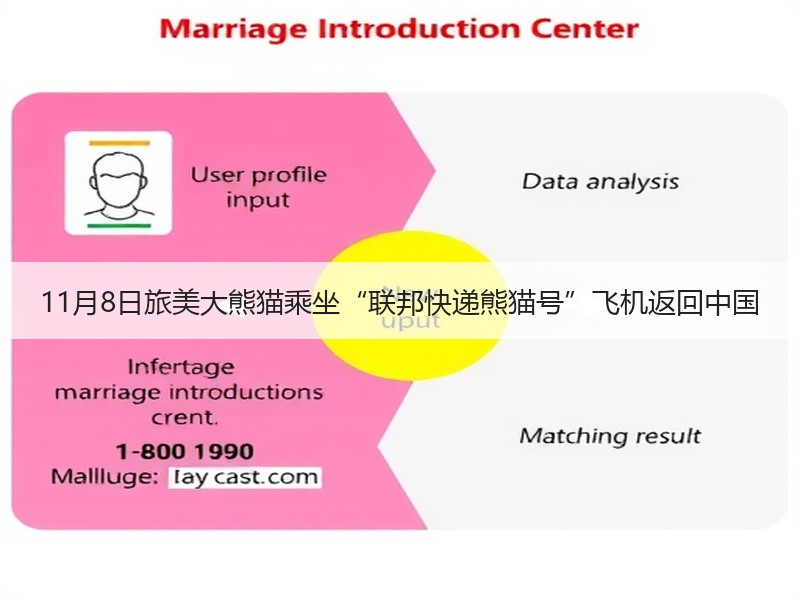 11月8日旅美大熊猫乘坐“联邦快递熊猫号”飞机返回中国