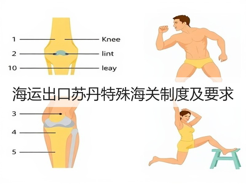 海运出口苏丹特殊海关制度及要求