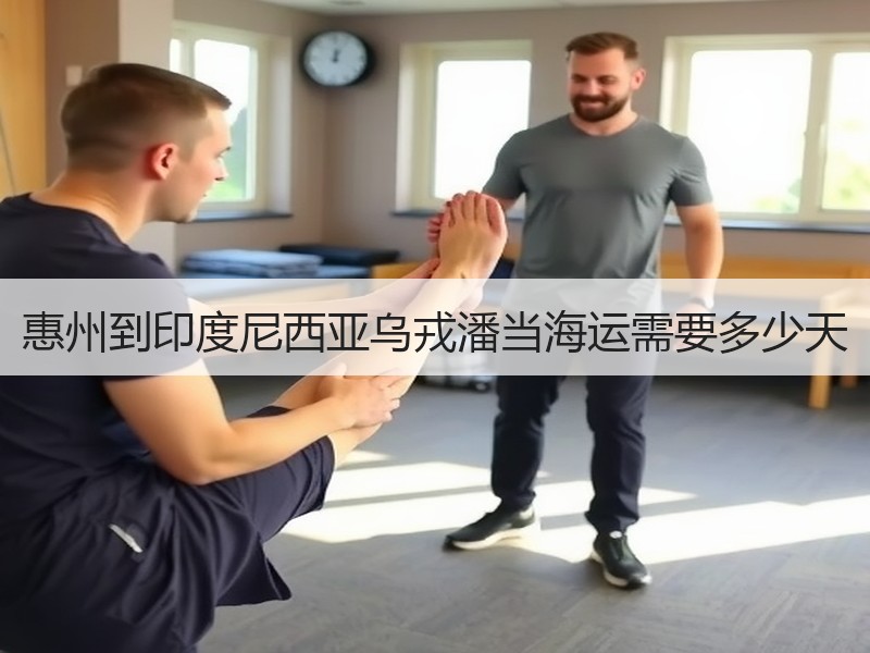 惠州到印度尼西亚乌戎潘当海运需要多少天