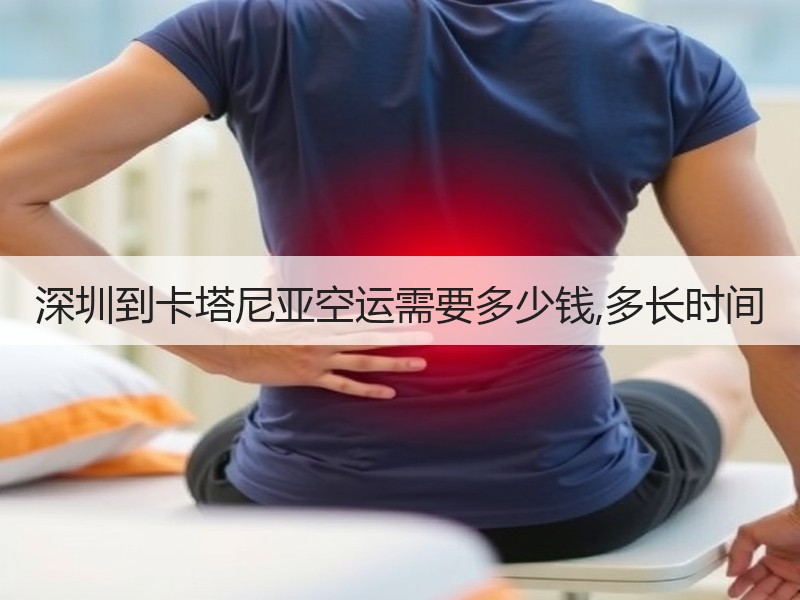深圳到卡塔尼亚空运需要多少钱,多长时间