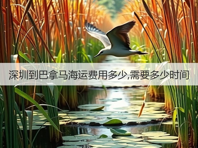 深圳到巴拿马海运费用多少,需要多少时间(图3) 深圳到巴拿马海运费用多少,需要多少时间(图3)
