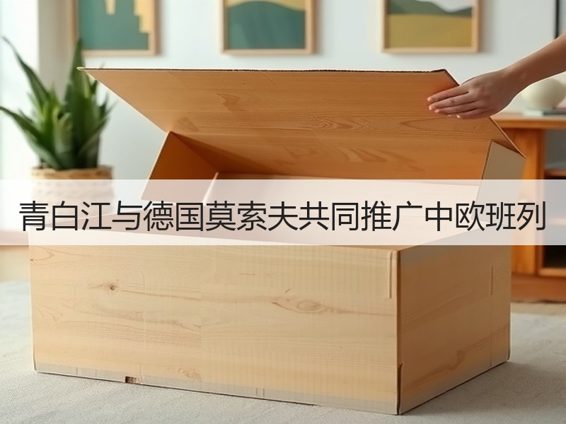青白江与德国莫索夫共同推广中欧班列
