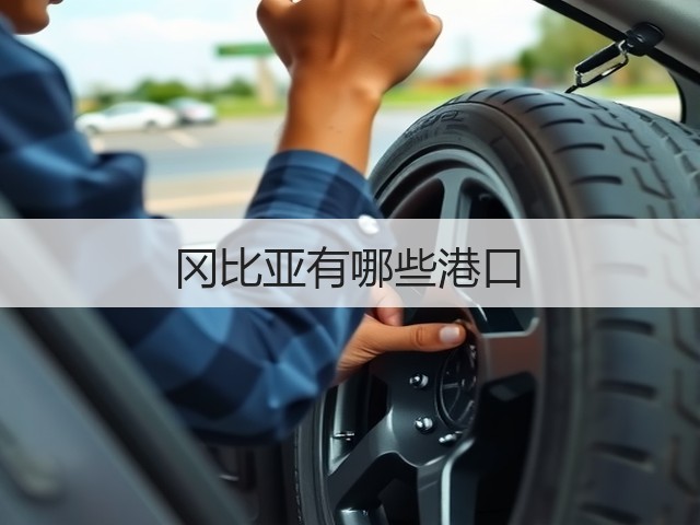 冈比亚有哪些港口(图3)