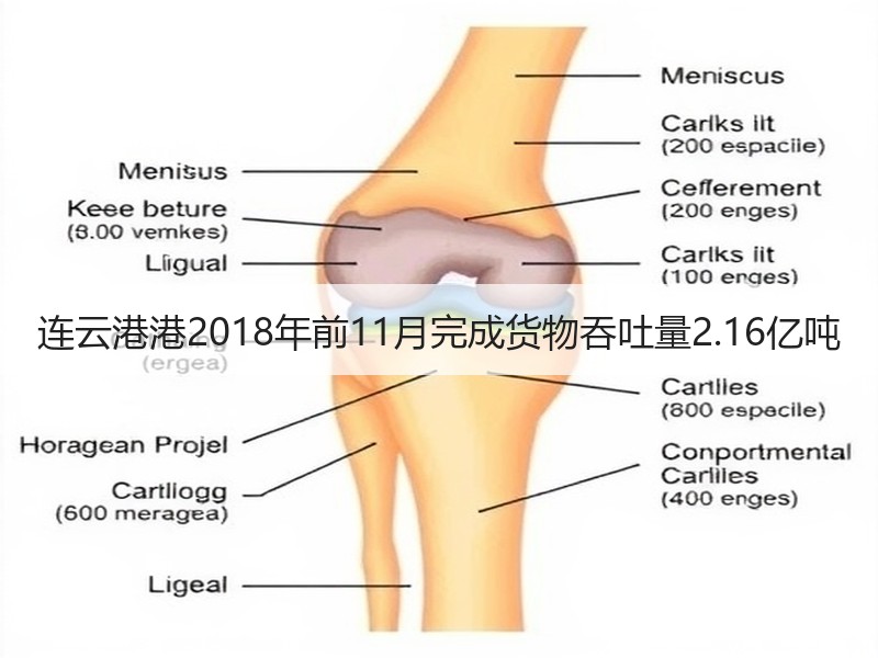 连云港港2018年前11月完成货物吞吐量2.16亿吨