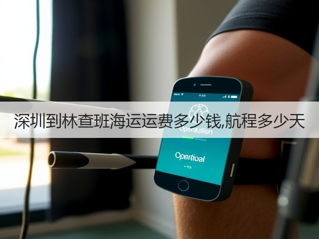 深圳到林查班海运运费多少钱,航程多少天(图3) 深圳到林查班海运运费多少钱,航程多少天(图3)