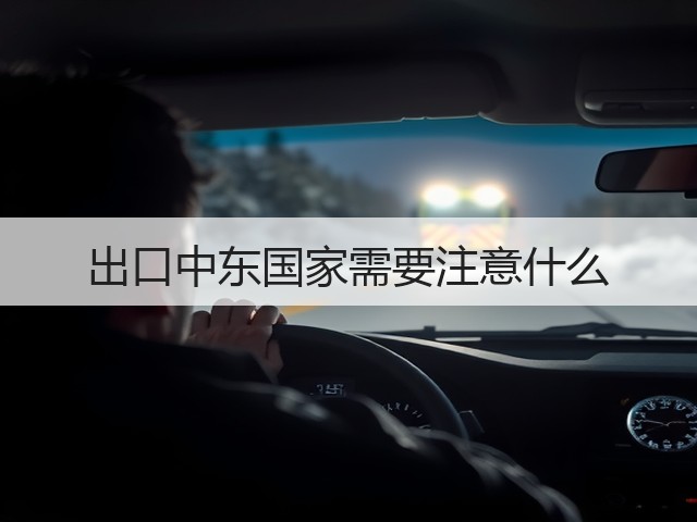 出口中东国家需要注意什么(图3) 出口中东国家需要注意什么(图3)