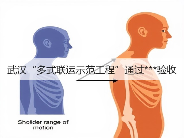 武汉“多式联运示范工程”通过***验收(图3) 武汉“多式联运示范工程”通过***验收(图3)