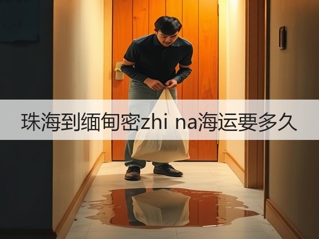 珠海到缅甸密zhi na海运要多久(图2)