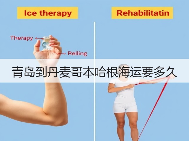 青岛到丹麦哥本哈根海运要多久(图1) 青岛到丹麦哥本哈根海运要多久(图1)