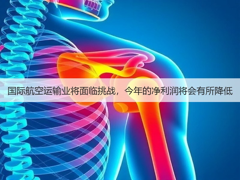 国际航空运输业将面临挑战，今年的净利润将会有所降低