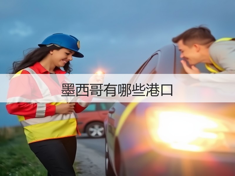 墨西哥有哪些港口