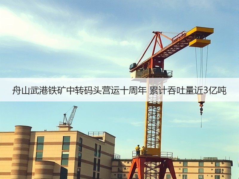 舟山武港铁矿中转码头营运十周年 累计吞吐量近3亿吨