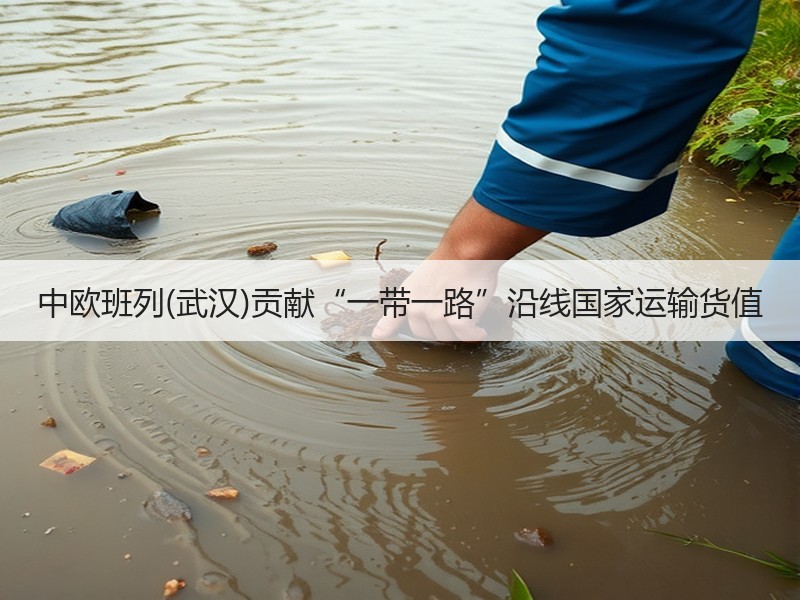 中欧班列(武汉)贡献“一带一路”沿线国家运输货值