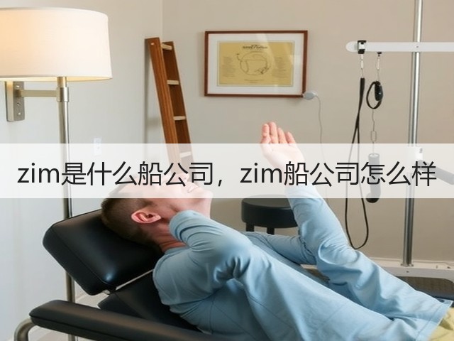 zim是什么船公司,zim船公司怎么样(图3) zim是什么船公司,zim船公司怎么样(图3)
