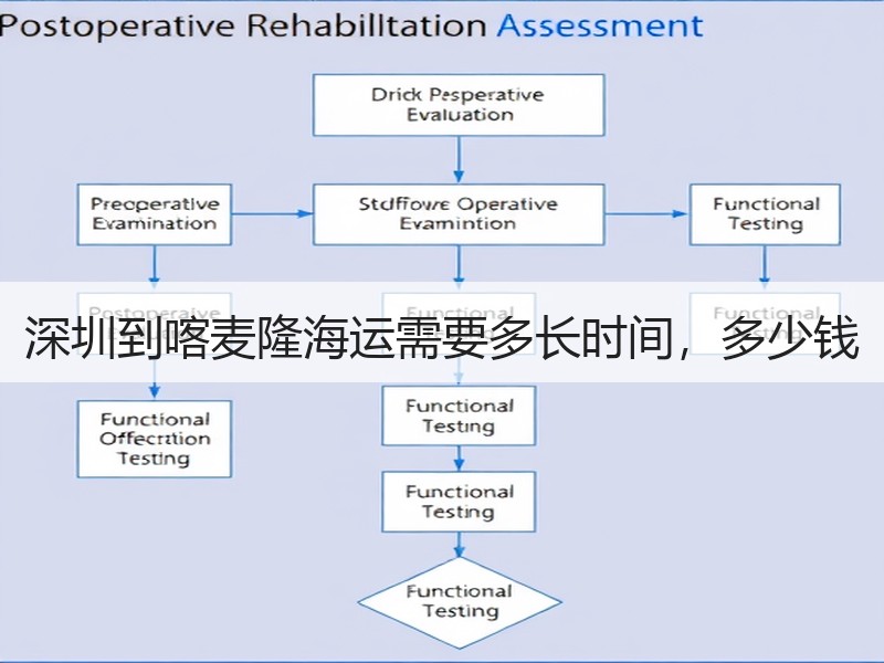 深圳到喀麦隆海运需要多长时间，多少钱