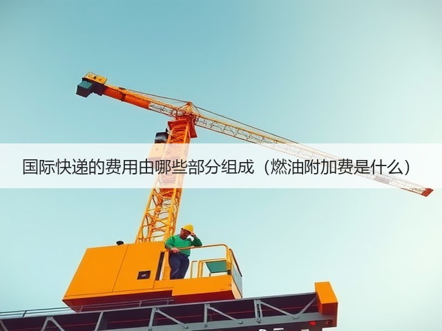 国际快递的费用由哪些部分组成(燃油附加费是什么)(图3) 国际快递的费用由哪些部分组成(燃油附加费是什么)(图3)