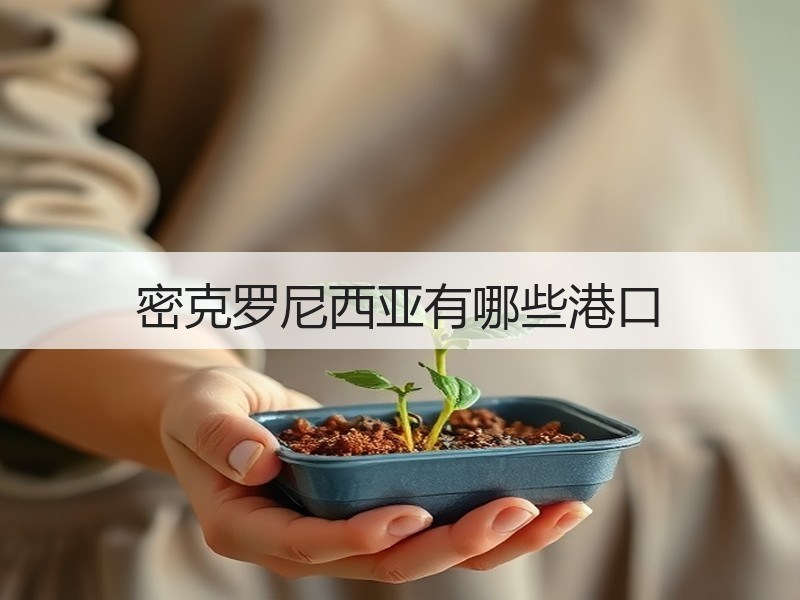 密克罗尼西亚有哪些港口