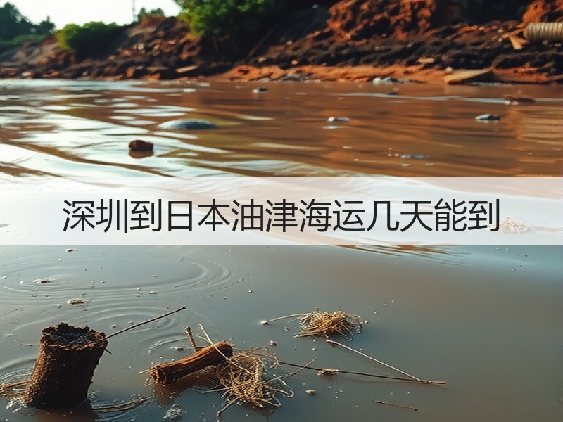 深圳到日本油津海运几天能到