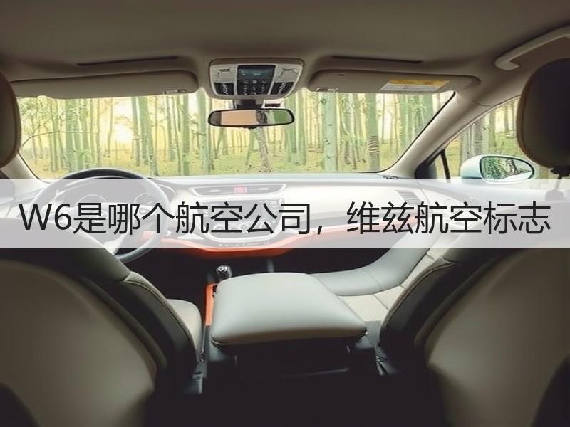 W6是哪个航空公司，维兹航空标志