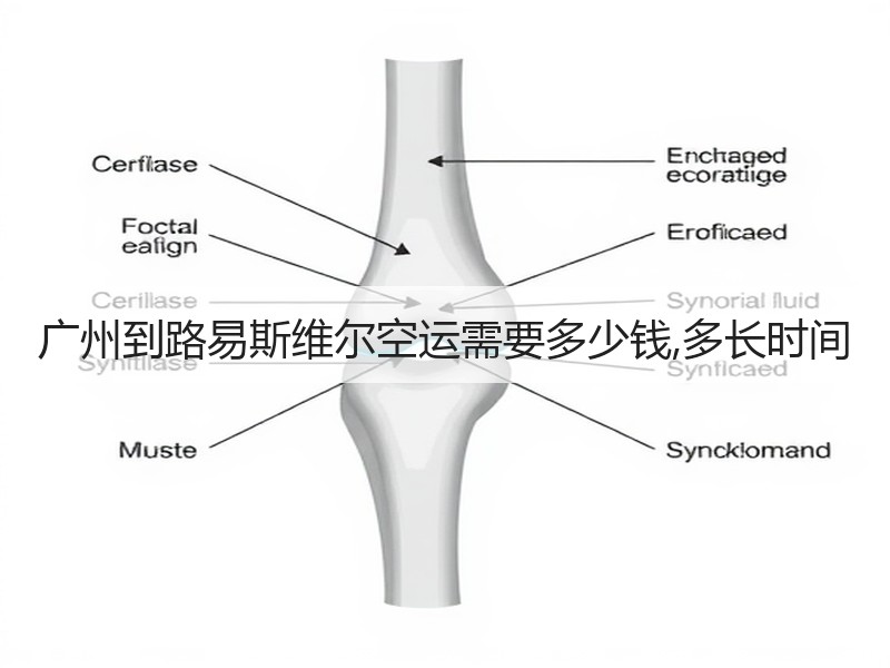 广州到路易斯维尔空运需要多少钱,多长时间