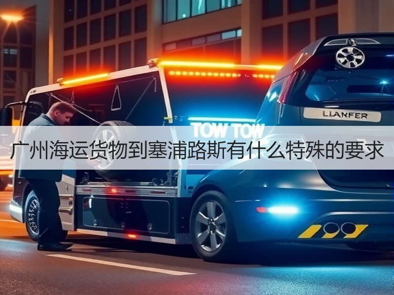 广州海运货物到塞浦路斯有什么特殊的要求