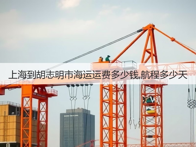 上海到胡志明市海运运费多少钱,航程多少天
