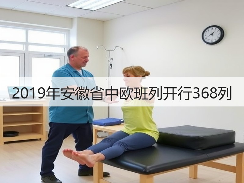 2019年安徽省中欧班列开行368列