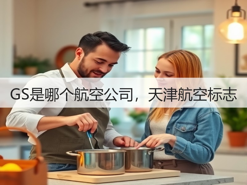 GS是哪个航空公司，天津航空标志
