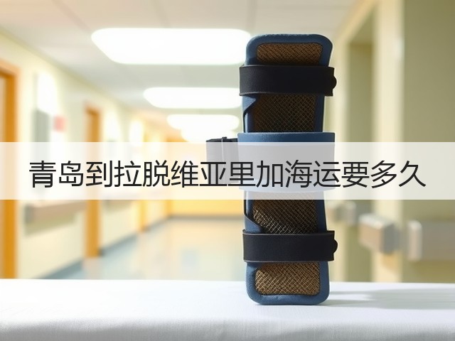 青岛到拉脱维亚里加海运要多久(图1) 青岛到拉脱维亚里加海运要多久(图1)