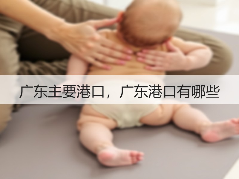 广东主要港口，广东港口有哪些