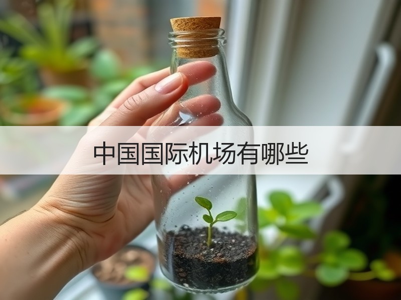 中国国际机场有哪些