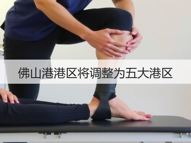 佛山港港区将调整为五大港区(图2)