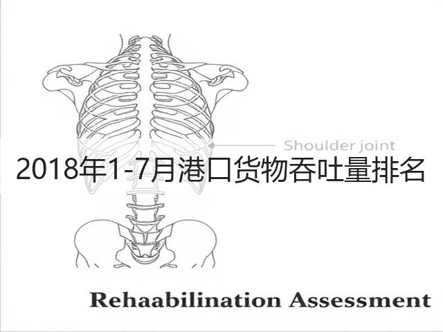 2018年1-7月港口货物吞吐量排名(图2) 2018年1-7月港口货物吞吐量排名(图2)