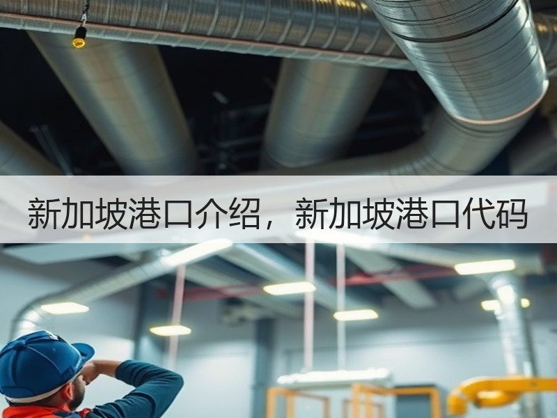 新加坡港口介绍，新加坡港口代码