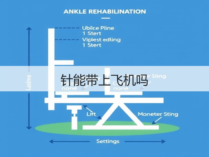 针能带上飞机吗