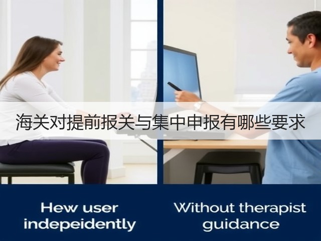 海关对提前报关与集中申报有哪些要求(图2) 海关对提前报关与集中申报有哪些要求(图2)