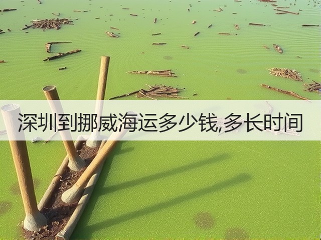 深圳到挪威海运多少钱,多长时间(图2)