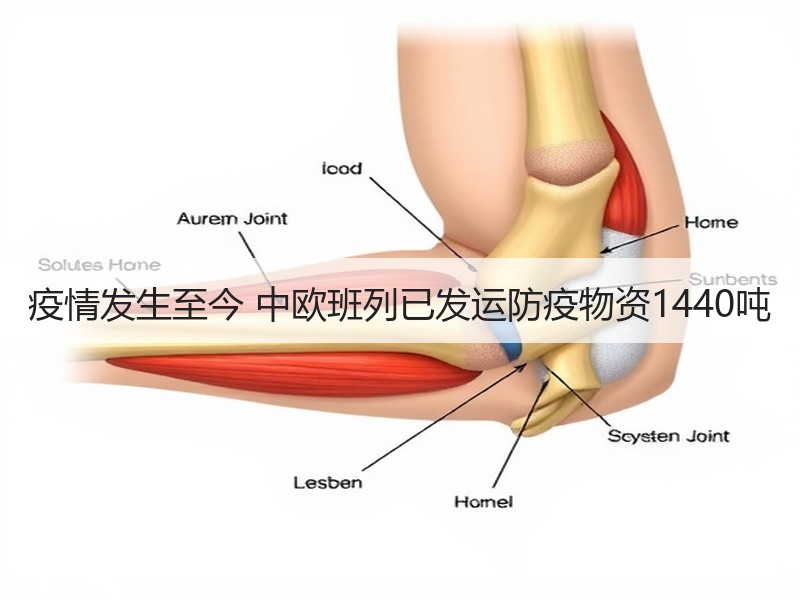 疫情发生至今 中欧班列已发运防疫物资1440吨